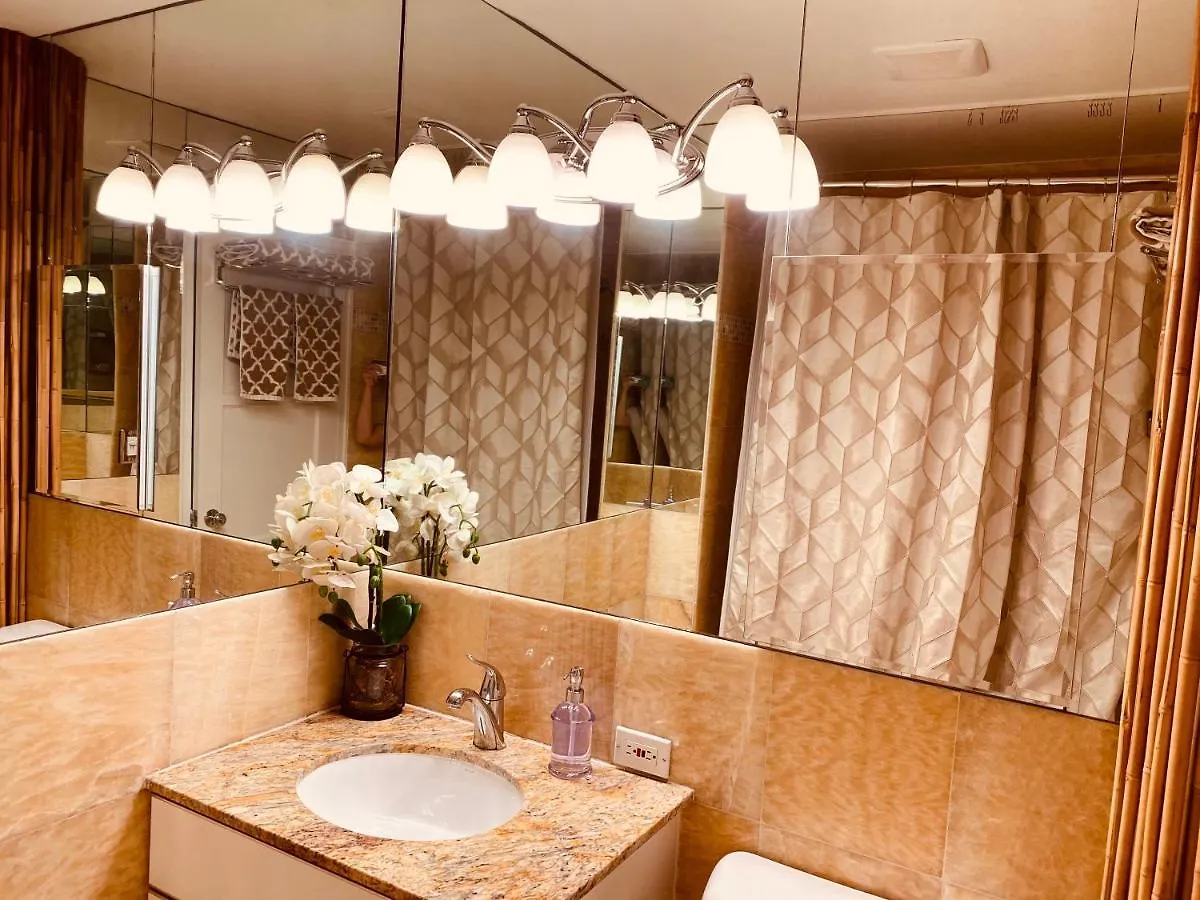 2 Bedroom Penthouse Downtown Seattle Apartment